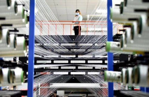 2023年復旦管理學獎三大獎項揭曉，軟件科技領域技術創新成果獲殊榮
