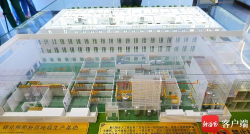 美安科技新城 打造創(chuàng)新藥企新高地，引領珍稀中藥材替代與軟件科技融合發(fā)展