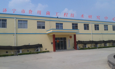 軟件科技領域內(nèi)的技術開發(fā) 創(chuàng)新驅(qū)動，賦能未來